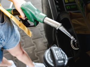 Aplikace pro ceny paliv cestou do Chorvatska