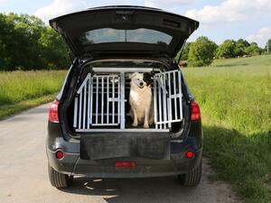 Jak vybrat klec pro psa do auta