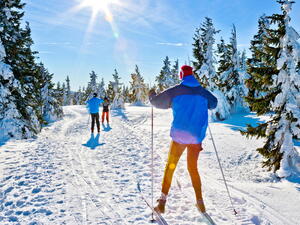 Jaké pojištění na lyže vybrat pro dovolenou v ČR a jaké do zahraničí?