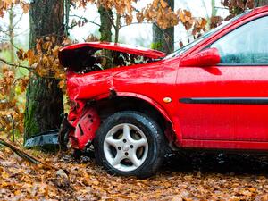 Na podzim roste počet nehod s nárazem do stromu. Na co dávat pozor?
