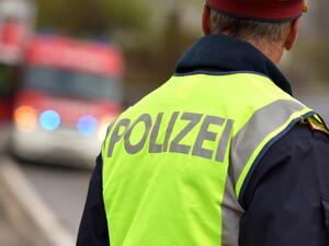 Policejní kontroly kamionů v Německu očima řidiče