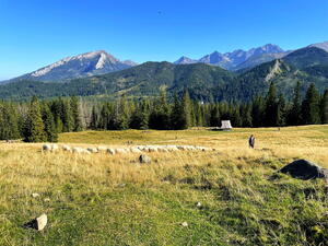 Rusinowa Polana: Louka s nejkrásnějšími výhledy na Tatry není zadarmo