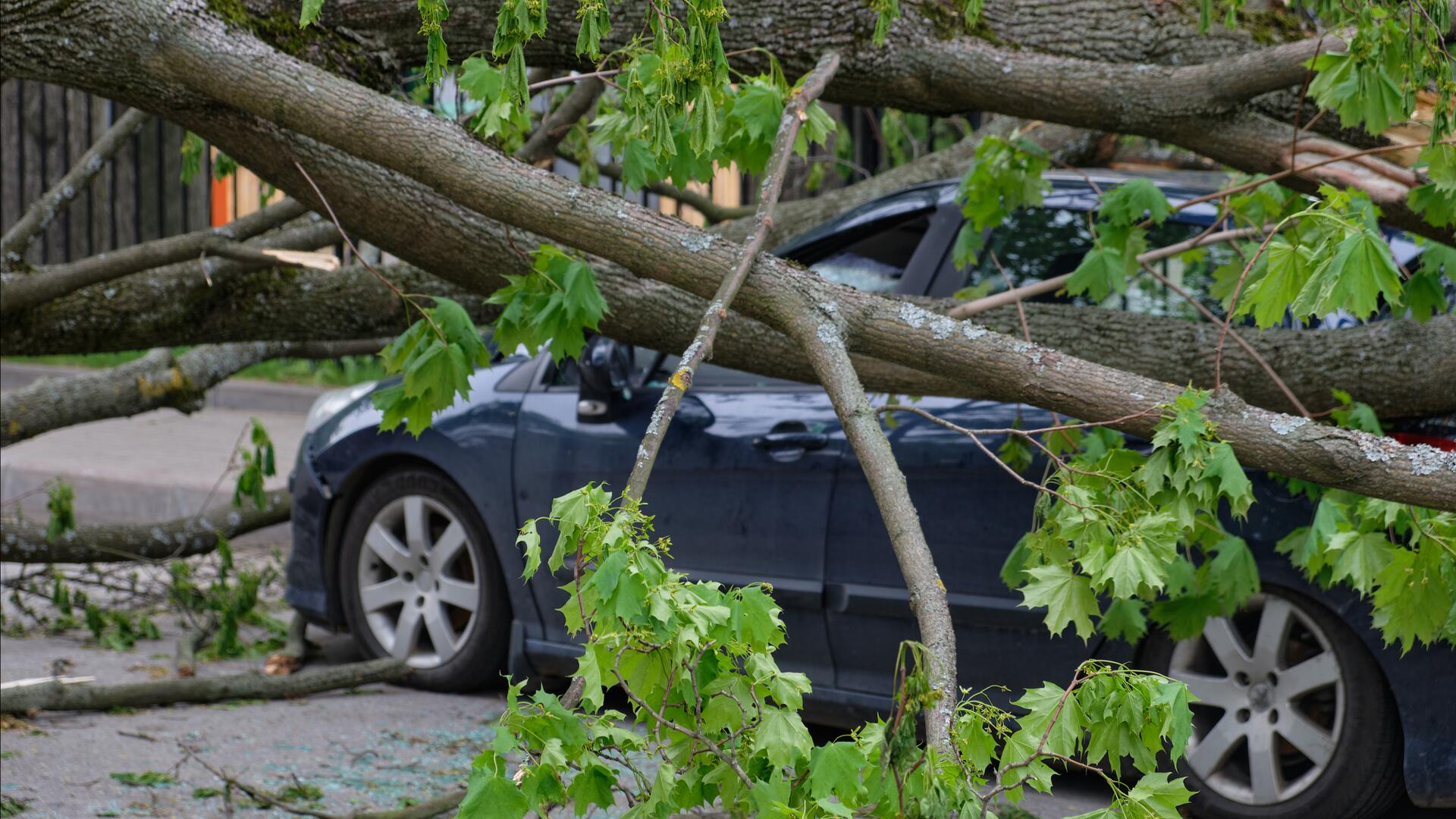 Havarijní pojištění ochrání auto i posádku. Co všechno kryje?