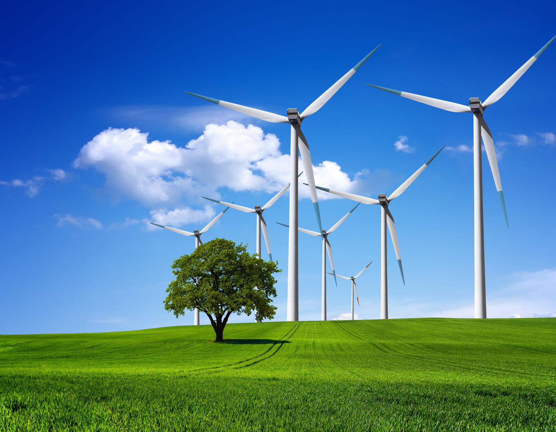 Obnovitelná energie a mýty kolem ní