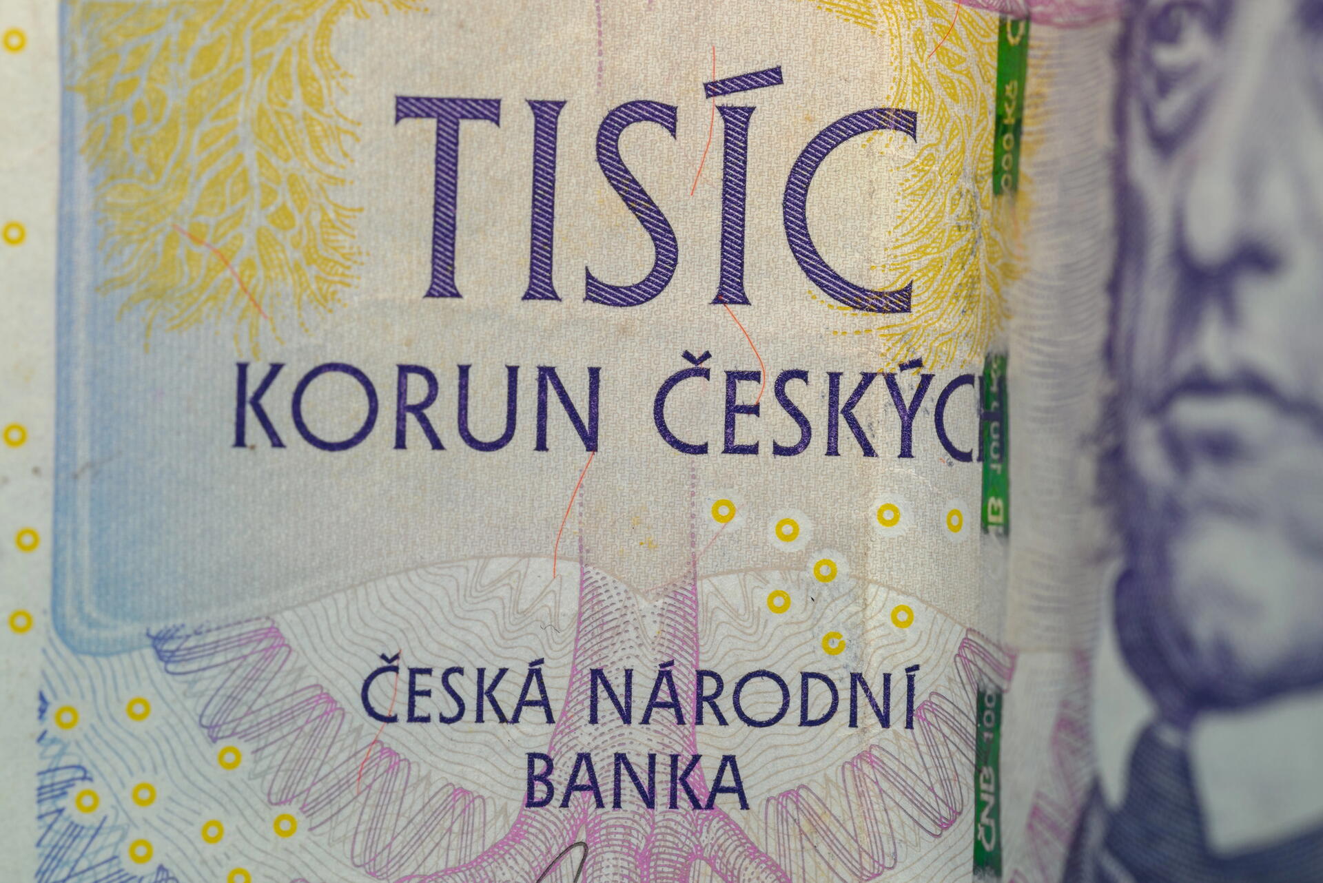 Práce bez maturity: Aktuální nabídky a profese, kde si vyděláte i 50 000 Kč měsíčně