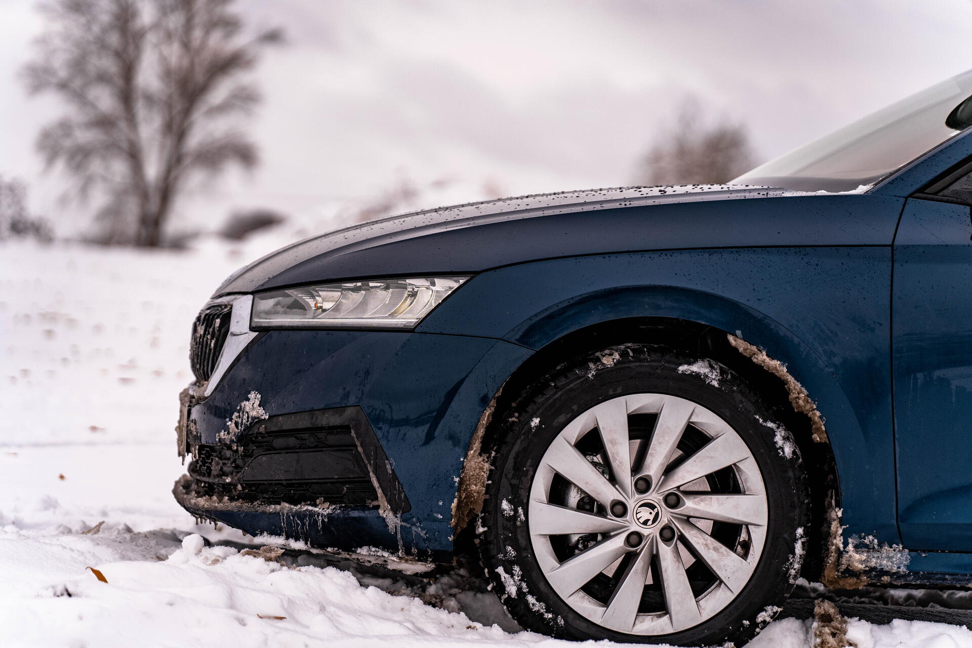 Škoda Octavia – cena a konfigurace