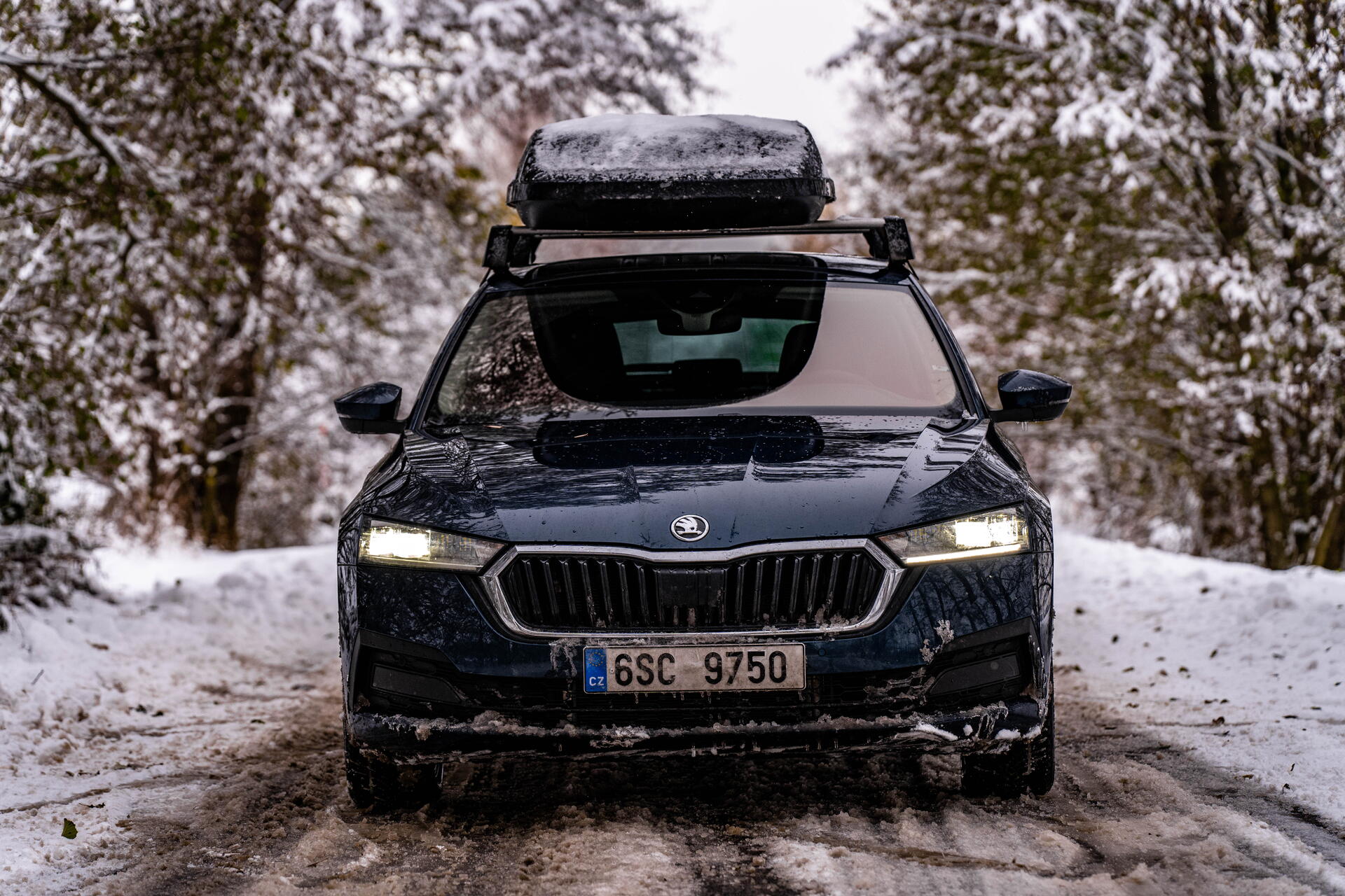 Škoda Octavia Liftback 2.0 TDI spotřeba