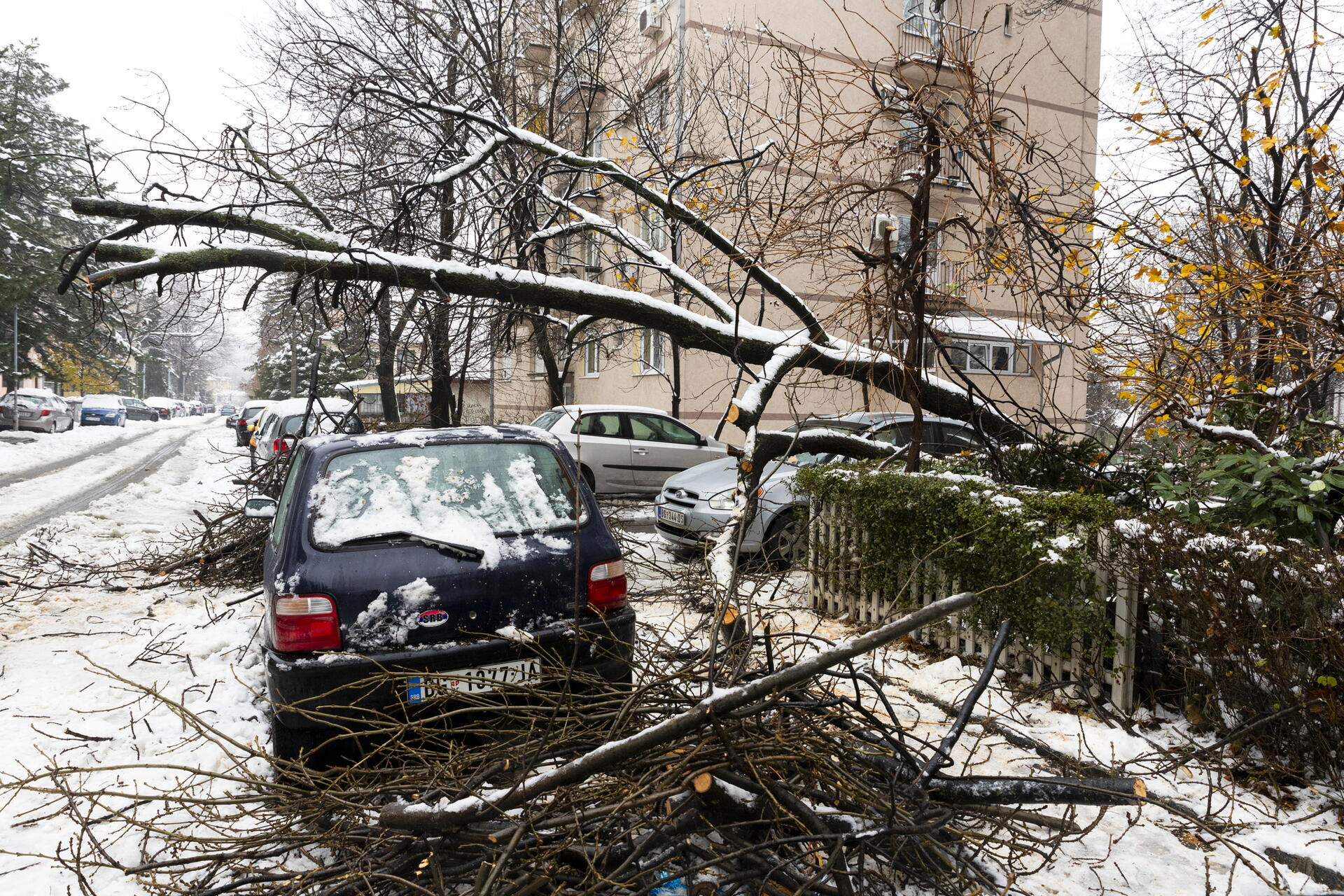 Typické zimní škody a jak se před nimi pojistit