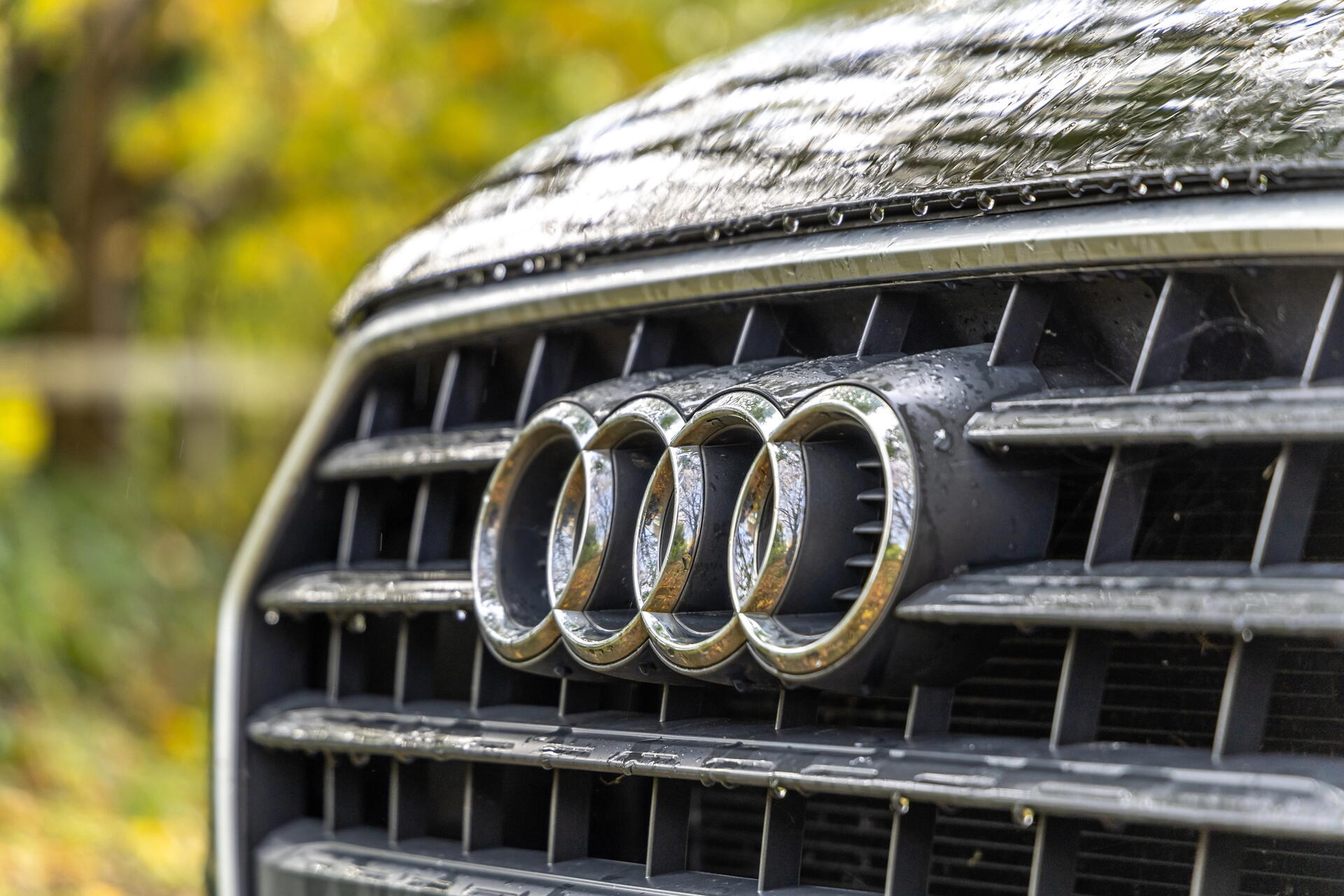 Značka Audi