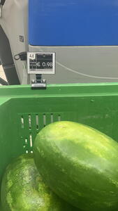 Aktuální ceny potravin v Itálii k 16.7.