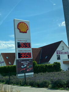 Cena paliv v České republice v Mikulově