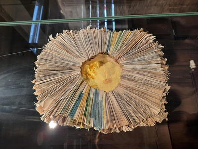 Duszniki Muzeum papiernictwa