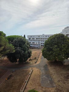 Hotel delfín