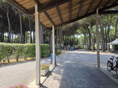Il Tridente