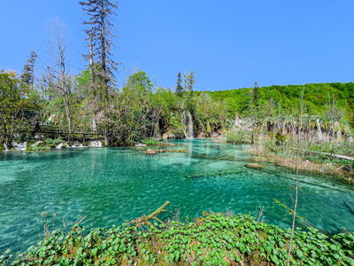 Plitvice by měl jednou za život vidět každý.