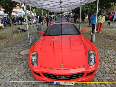 Speed Festival