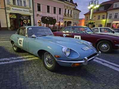 Speed Festival
