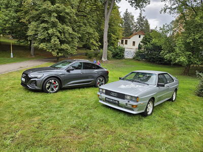 Speed Festival