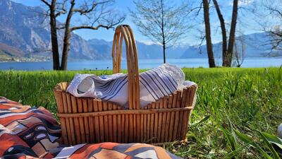 Traunsee