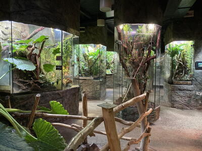 V zoo je několik exkluzivních expozic
