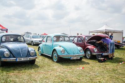 Volkswagen Beetle známý jako brouk