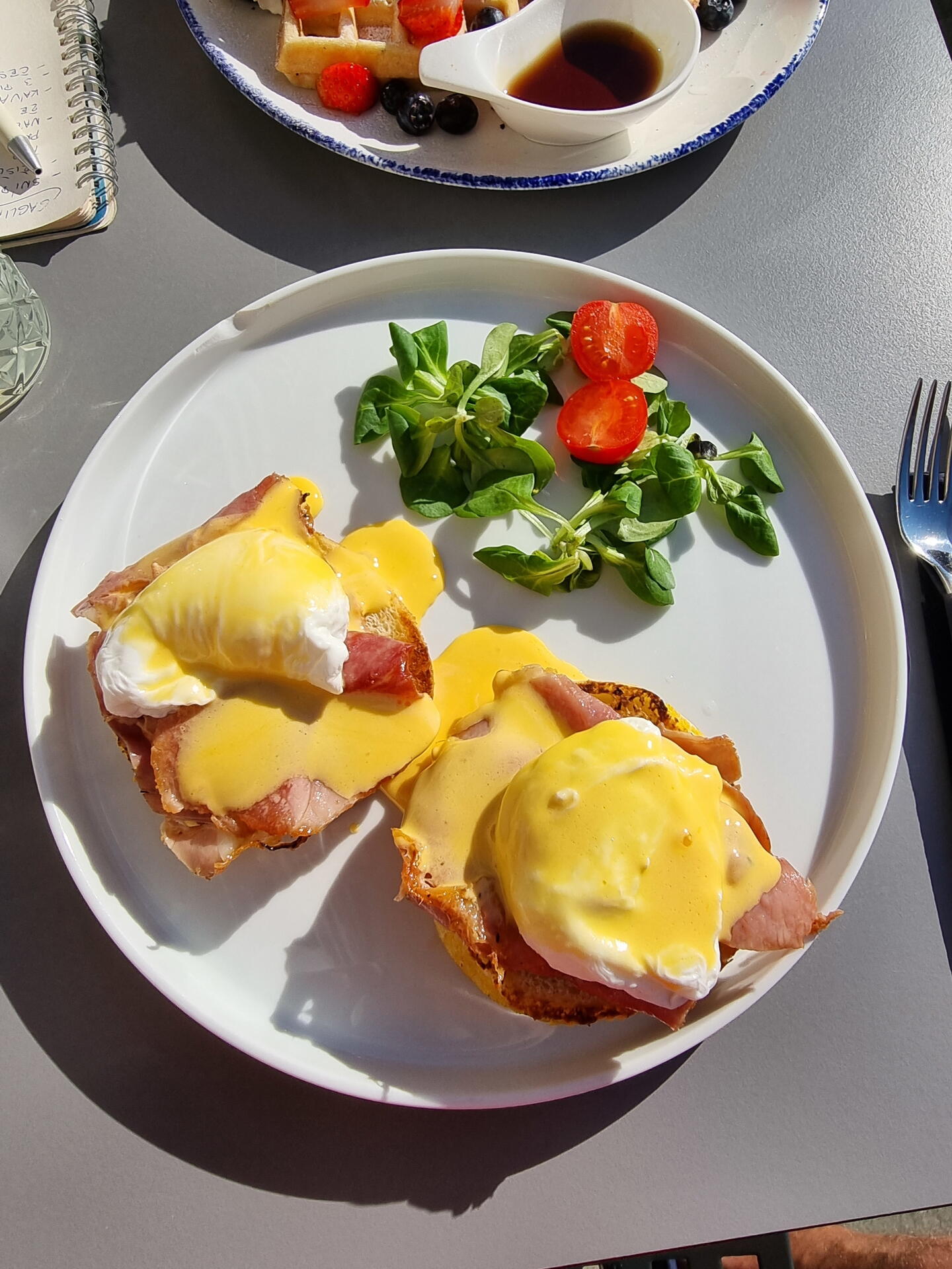 Chorvatská gastronomie