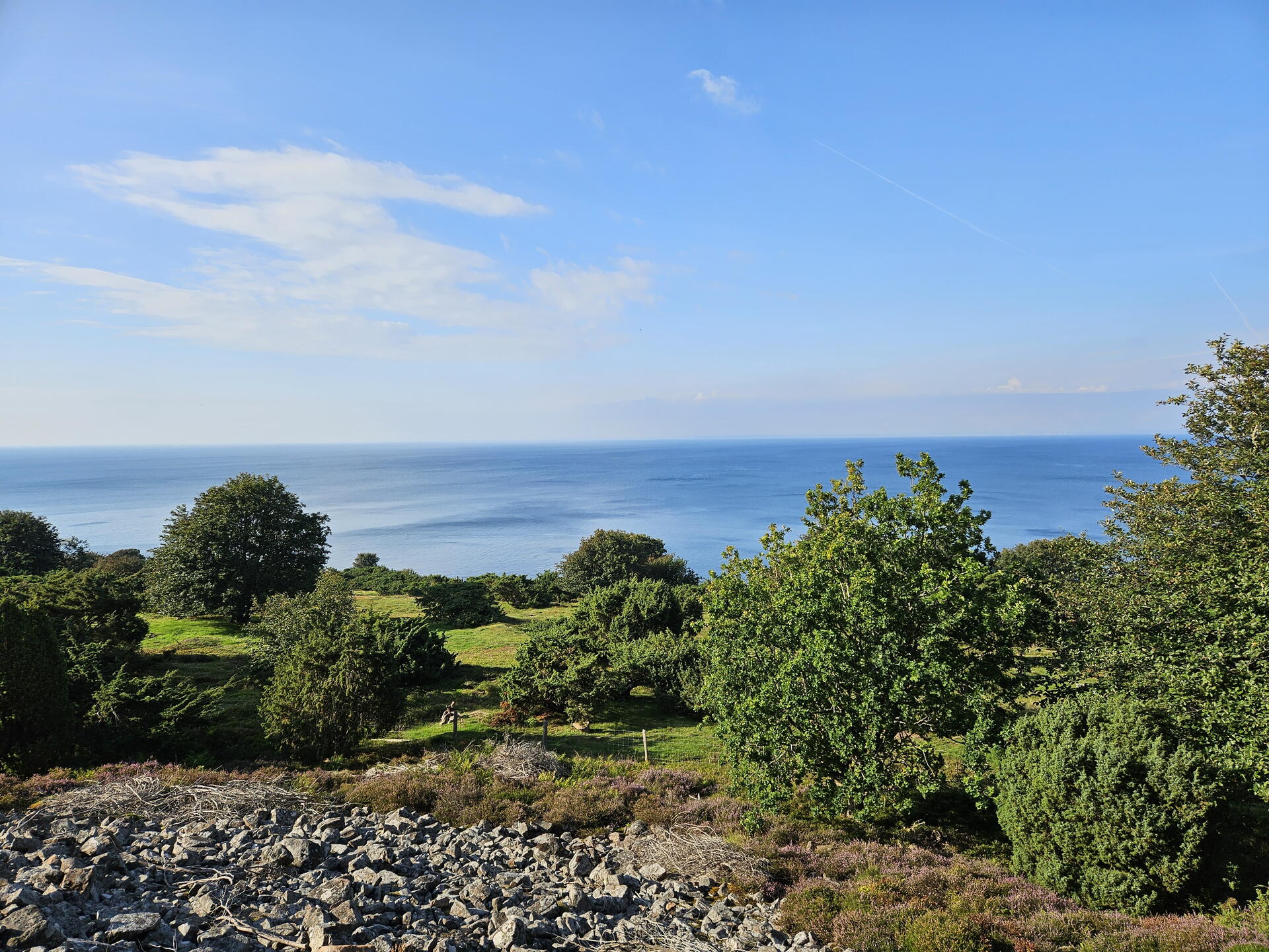 Hovs Hallar