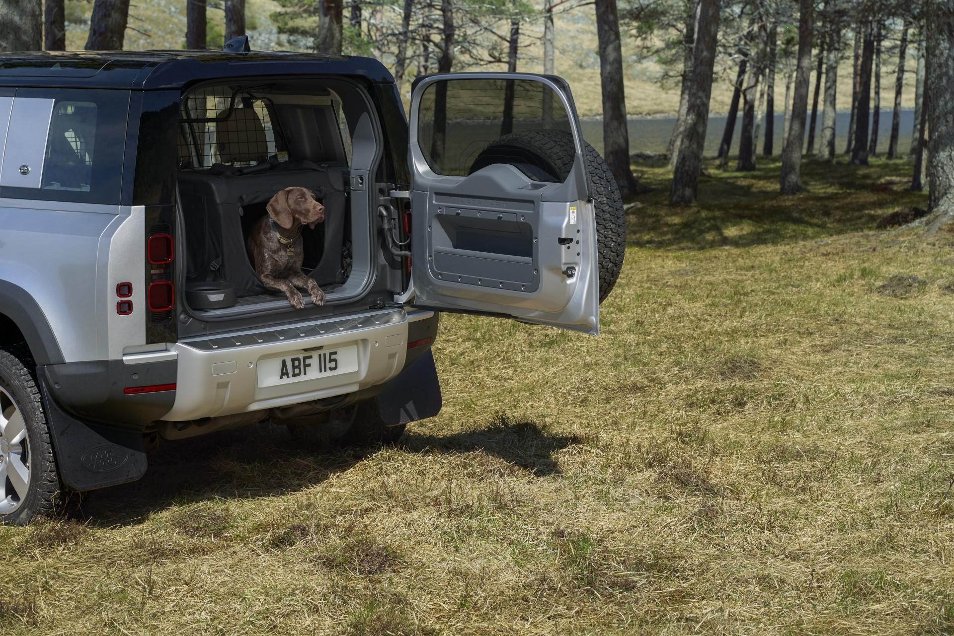 Nový Land Rover Defender testoval i labrador