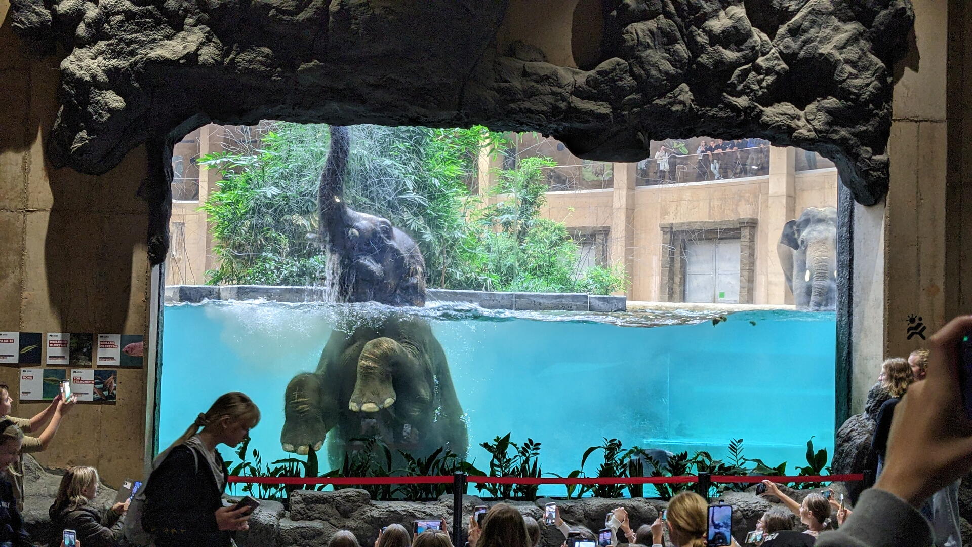 Orientarium ZOO Łódź