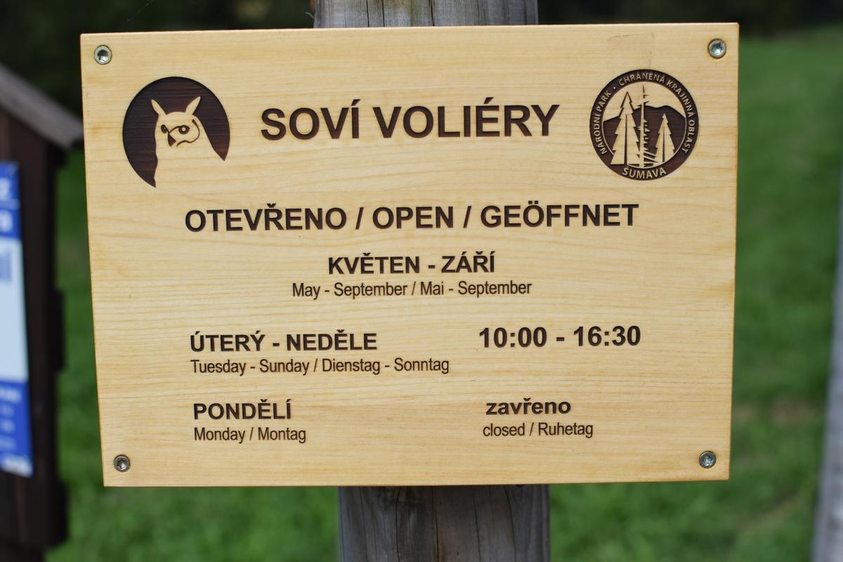 Sovy v Borové Ladě