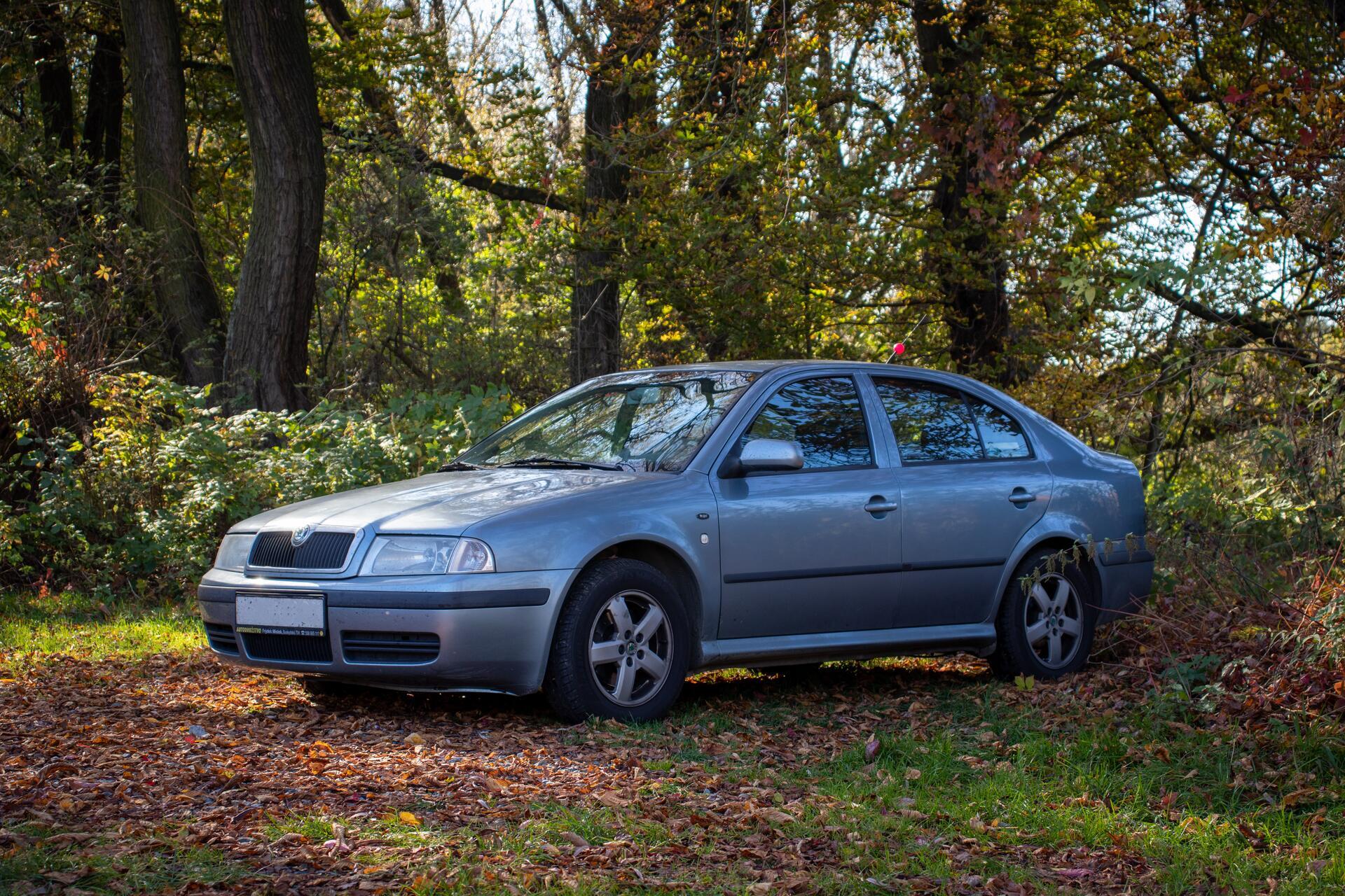 Vyplatí se havarijní pojištění Octavie 1.9 TDI z roku 2003?