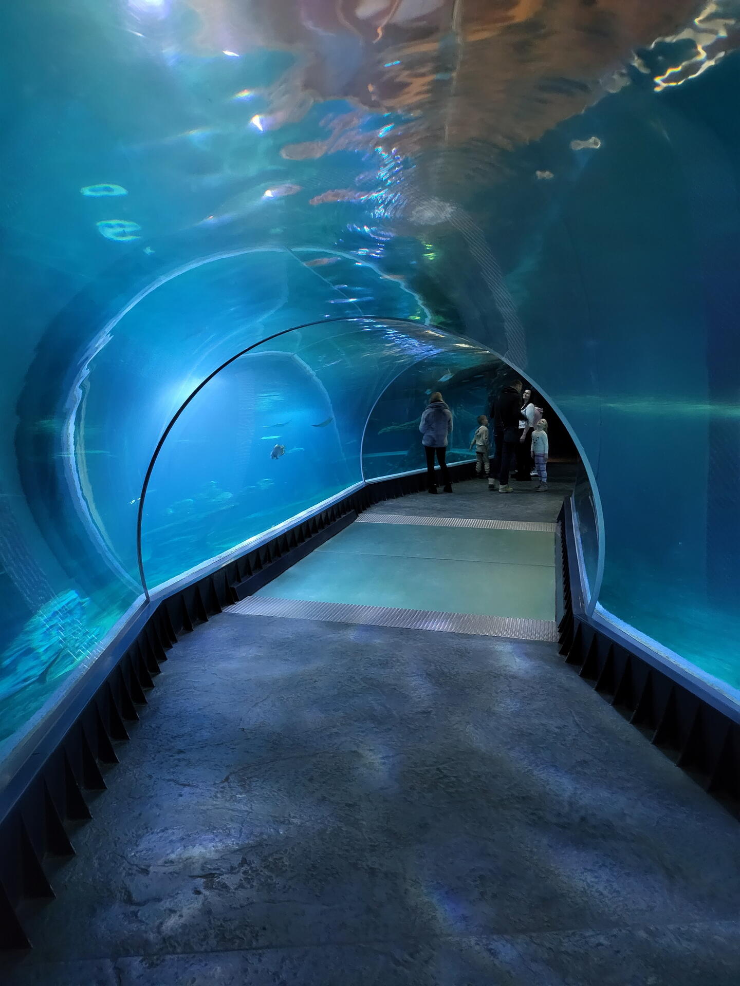 ZOO Wroclav