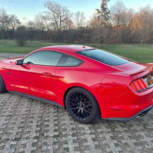 Ford Mustang GT; 5.0 automat