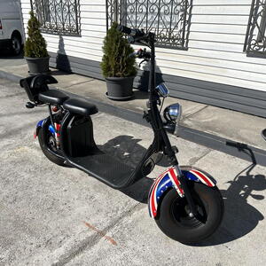 Harley-Davidson chopper-Harley L1e - B 1,0 kw 1kW manuál