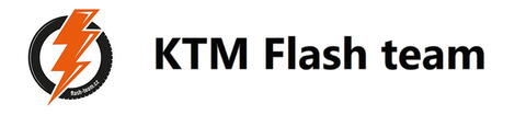 Logo - Flash team