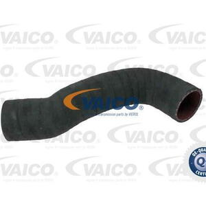 Hadička plnicího vzduchu VAICO V95-0351