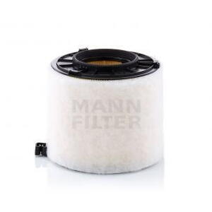 MANN-FILTER Vzduchový filtr C 17 010 13669