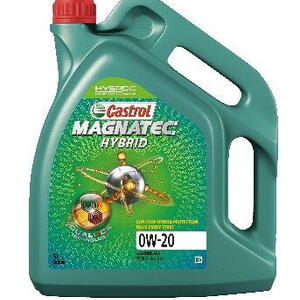 Motorový olej CASTROL 15F24A