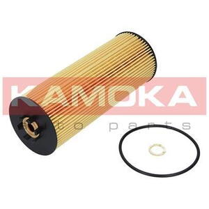 Olejový filtr KAMOKA F105501