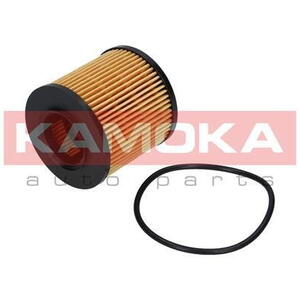 Olejový filtr KAMOKA F109801