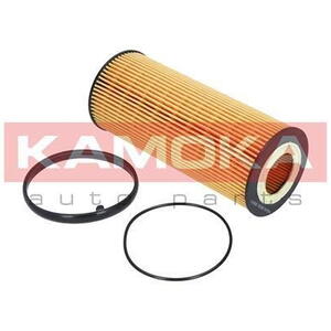 Olejový filtr KAMOKA F110601