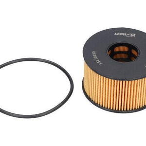 Olejový filtr KAVO PARTS FOF-10171