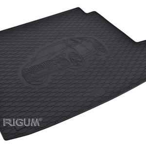 Rigum Gumová vana do kufru BMW X6 G06 2019-