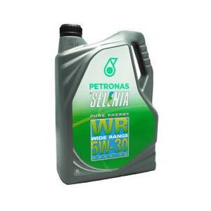 Selenia WR Diesel Pure Energy 5W-30 (5 l) 8661