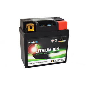 Skyrich LFP01