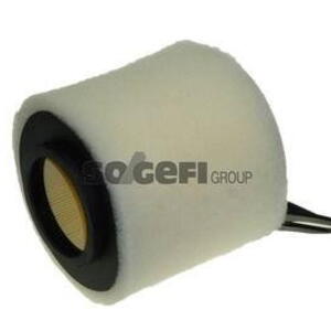 Vzduchový filtr PURFLUX A1200