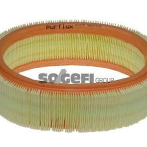 Vzduchový filtr PURFLUX A1278