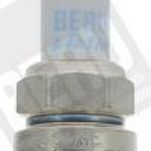 Zapalovací svíčka BorgWarner (BERU) Z282