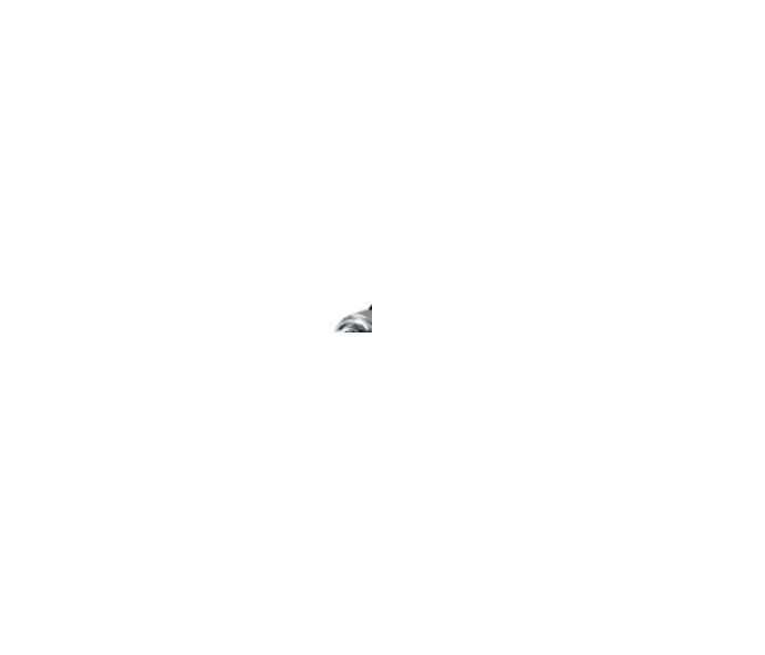 Zapalovací svíčka NGK 4347