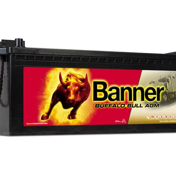 Banner Buffalo Bull 12V 170Ah 1000A 670 01